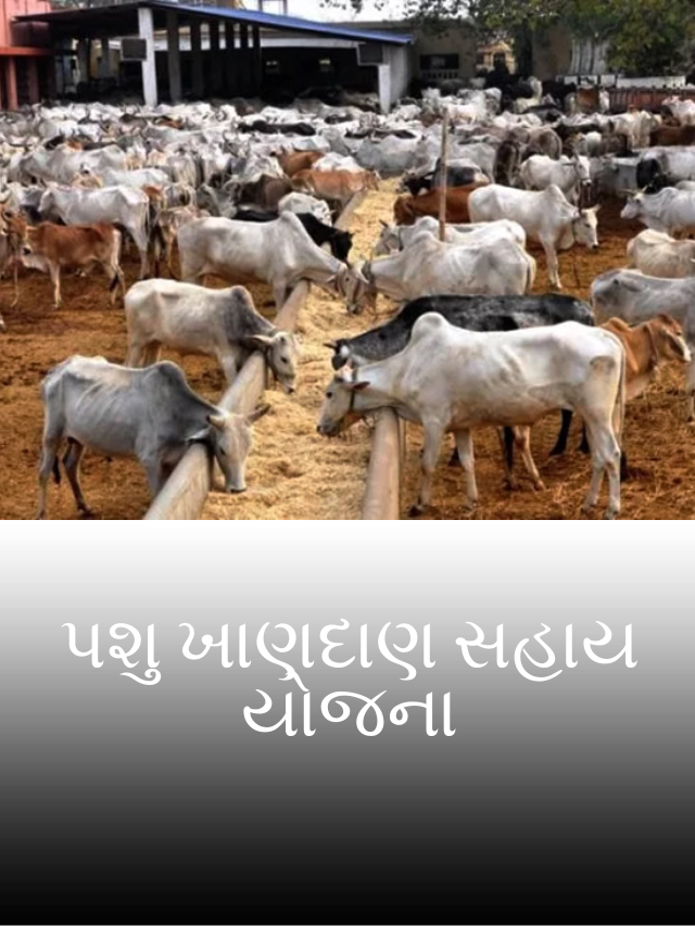 પશુ ખાણદાણ સહાય યોજના