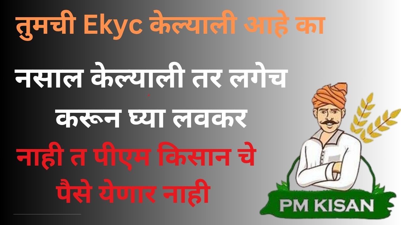 PM किसान 20वा हप्ता 2 ऑगस्टला खात्यात – तुमचा हप्ता येणार का? अशी करा तपासणी!