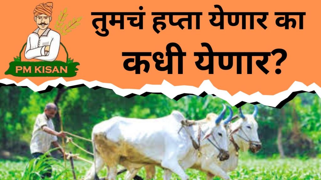 पीएम किसान 20वा हप्ता कधी मिळणार काय सत्य आहे ते पहा