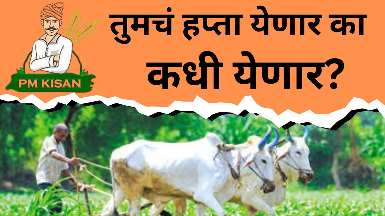 पीएम किसान 20वा हप्ता कधी मिळणार काय सत्य आहे ते पहा