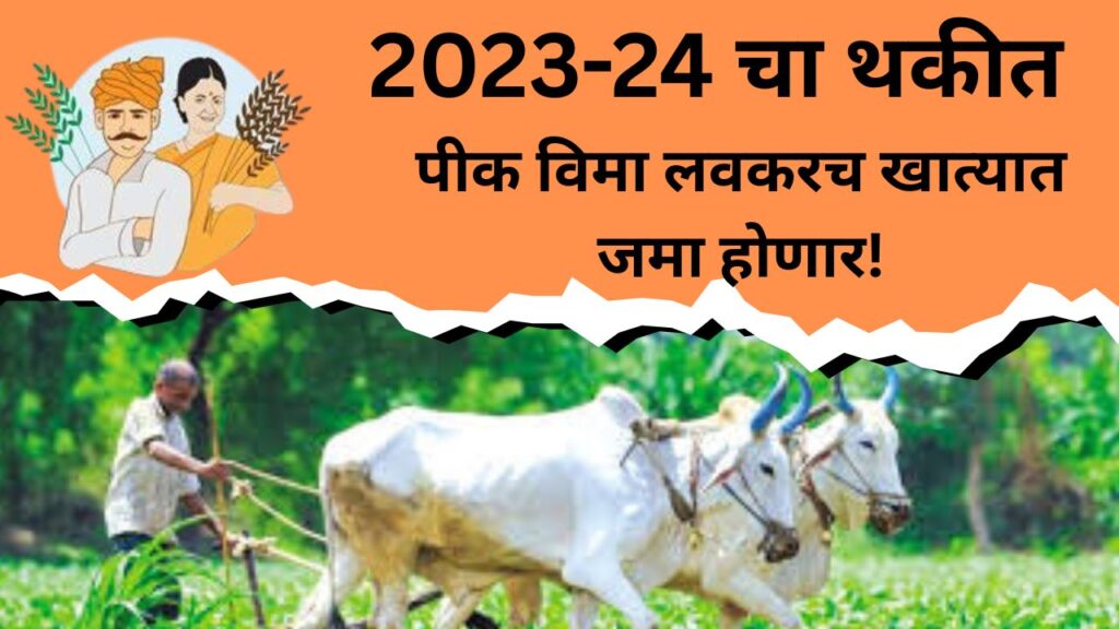 2023-24 चा थकीत पीक विमा लवकरच खात्यात जमा होणार! कृषि मंत्र्यांची मोठी घोषणा