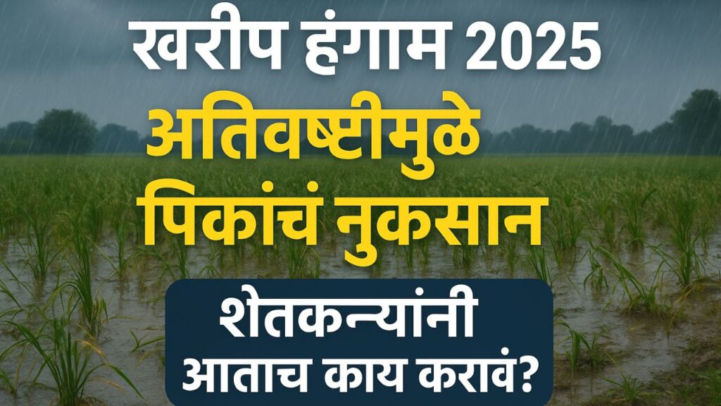 खरीप हंगाम 2025 मधील अतिवृष्टीमुळे पिकांचं नुकसान – शेतकऱ्यांनी आत्ताच काय करावं?