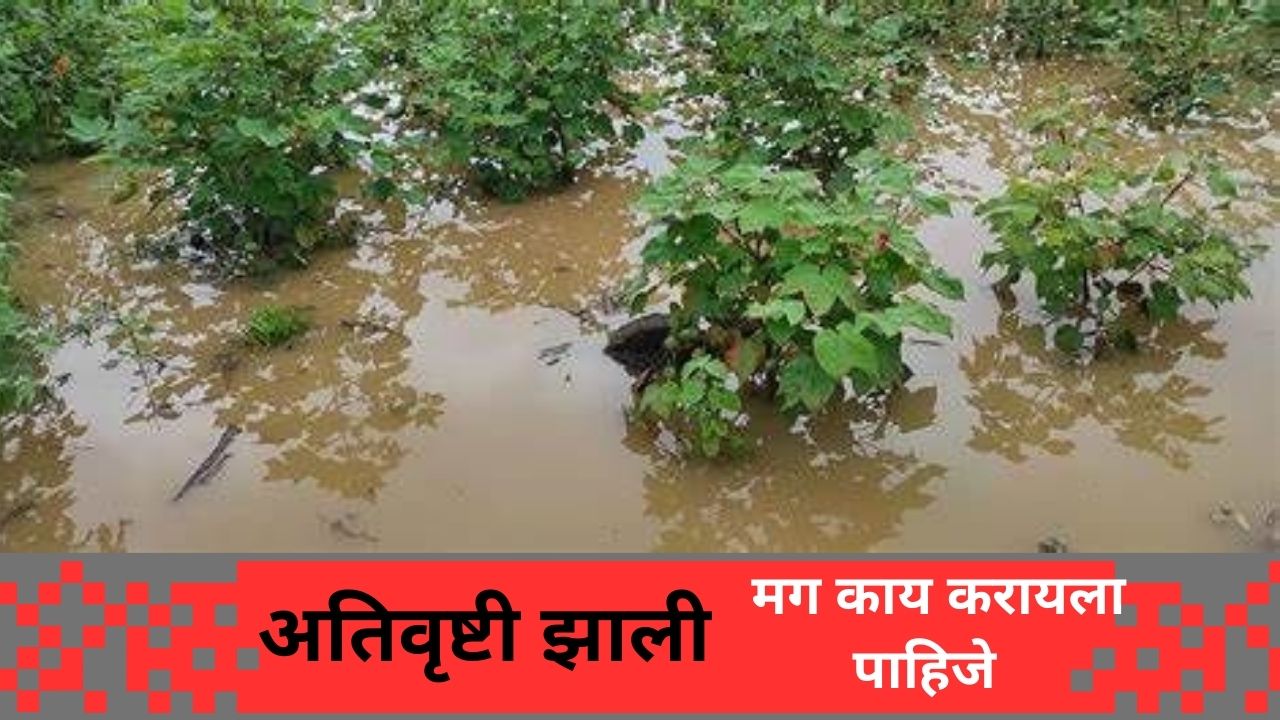 शासन पोर्टलवर रोजचा पावसाचा हिशोब – अतिवृष्टी झाली का ते लगेच तपासा