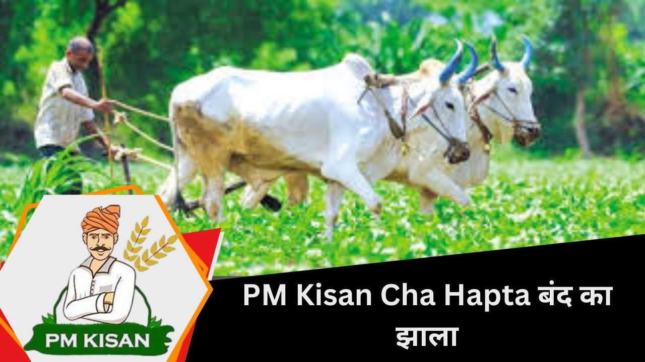 PM Kisan चा हप्ता बंद झाला आहे का?शेतकऱ्यांनी काय करावं जाणून घ्या